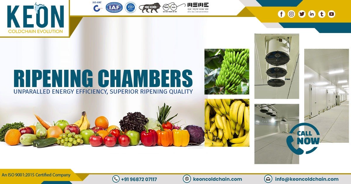 Ripening Chamber Supplier in Madhya Pradesh